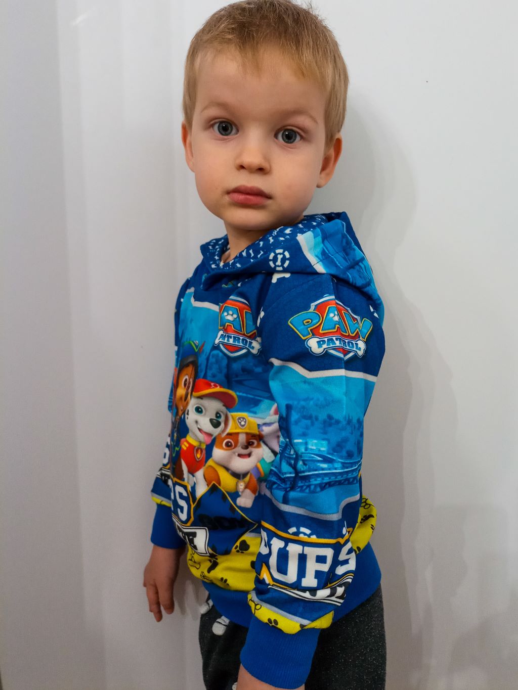 bluza dla chłopca z kapturem PSI PATROL z nadrukiem 3D zdjęcie 2